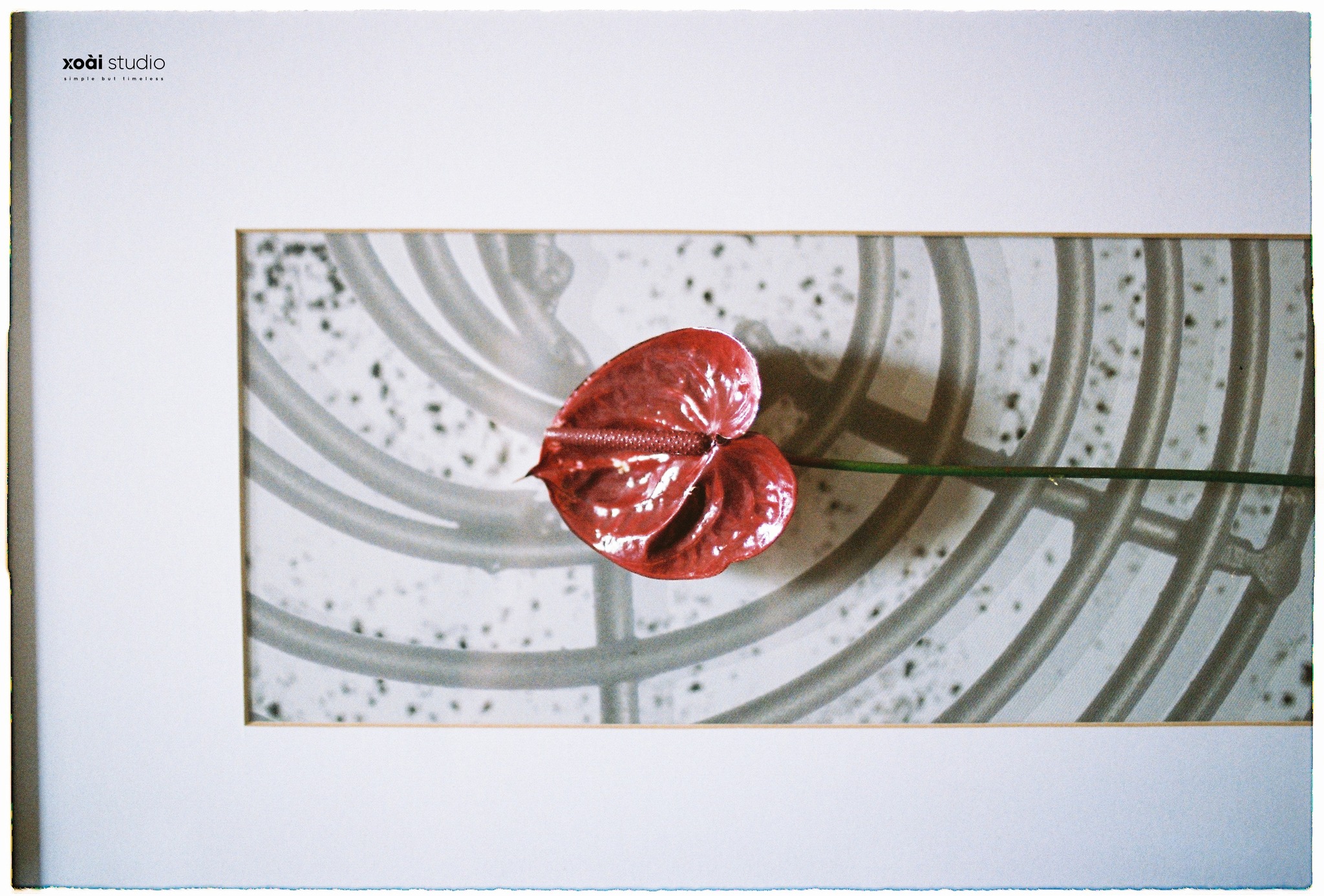 BY FILM TRAN AN PHONG SU CUOI NHA TRANG 8