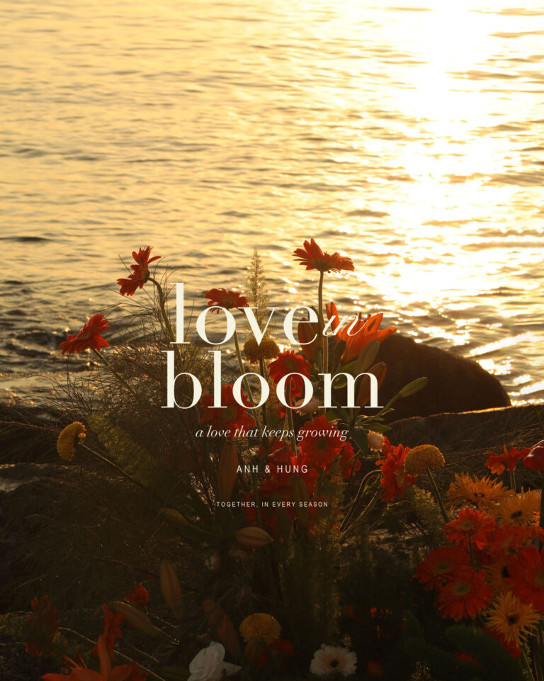 Hoa trang trí trên bãi đá ven biển Hòn Đỏ trong nắng vàng, ảnh mở đầu concept Love in Bloom.
